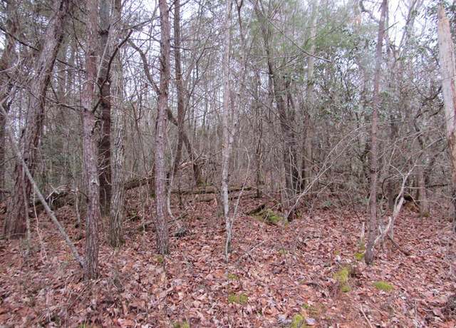 Property at Lot 28 June Bug Ln, Murphy, NC 28906