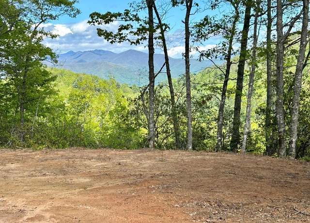 Property at 31 & 32 Middle Rdg, Whittier, NC 28789