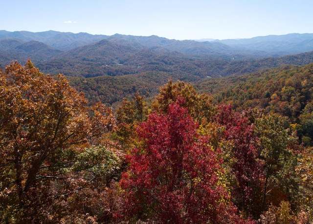 Property at 0 Big Rockys Rd, Bryson City, NC 28713