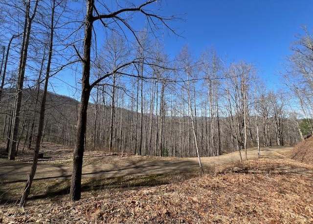 Property at #42 Witch Hazel Dr, Franklin, NC 28734