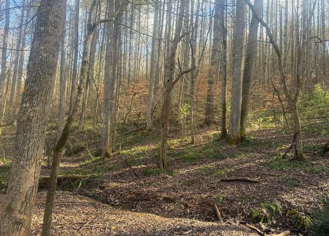 Property at n/a Wide Horizon Dr, Franklin, NC 28734