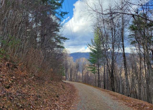 Property at 125 Lasso Ln, Waynesville, NC 28785