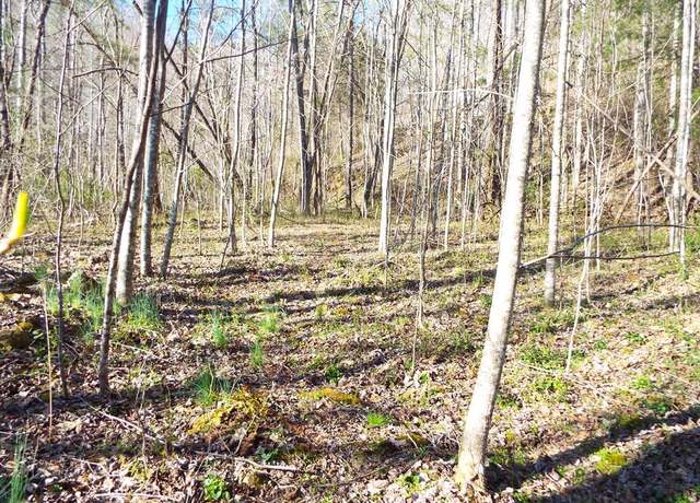 Property at 000 Hooper Chastain Rd, Tuckasegee, NC 28783