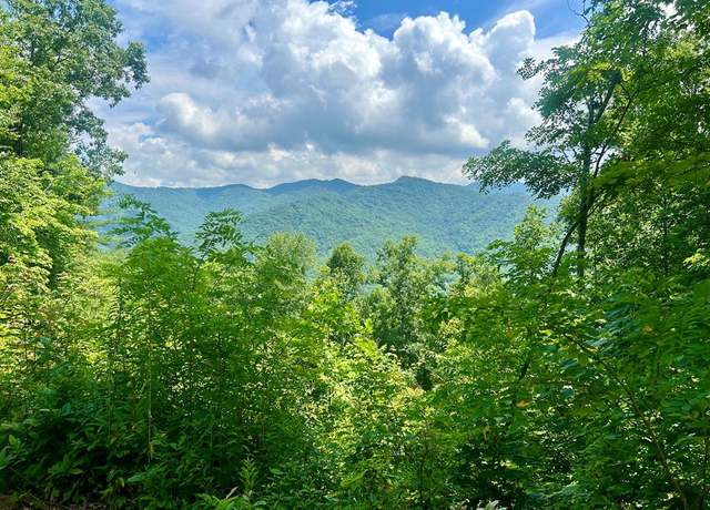 Property at Lot 11 Hickory Rock Rd, Bryson City, NC 28713