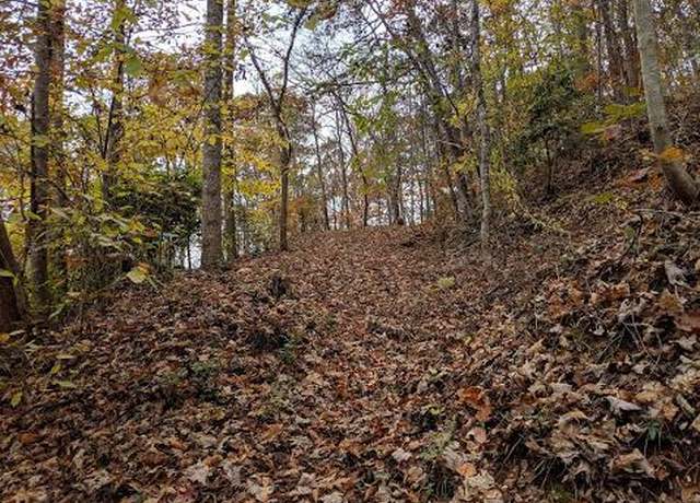 Property at 00 Joy Ln, Sylva, NC 28779