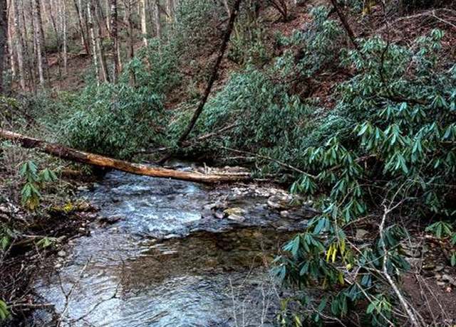 Property at Undisclosed address, Bryson City, NC 28713