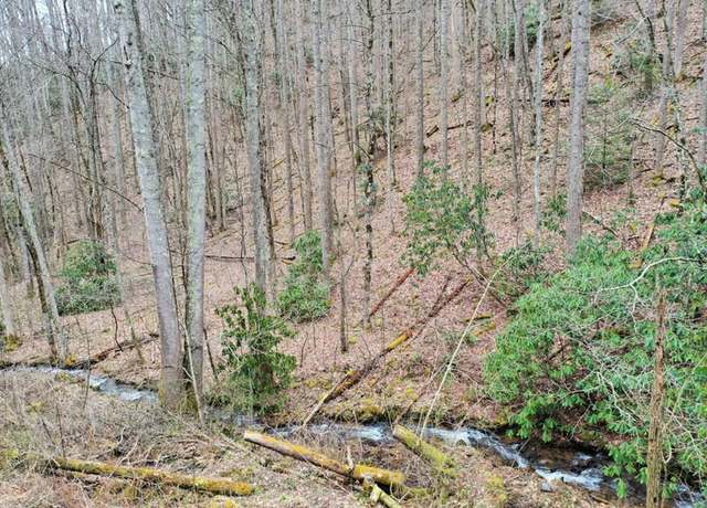 Property at 0000 Tilley Creek Rd, Cullowhee, NC 28723