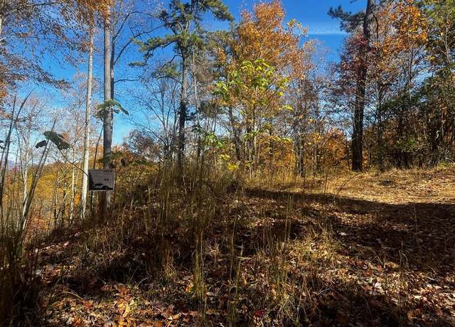 Property at Lot 49 Elkhorn Ridge Dr, Franklin, NC 28734