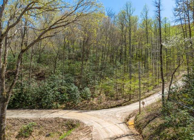 Property at 0 Wild Turkey Run, Otto, NC 28763