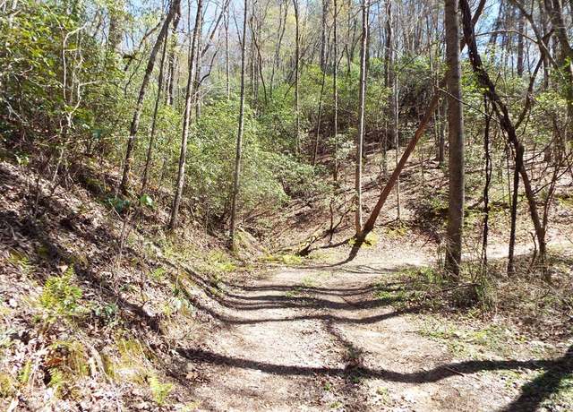 Property at 000 Fresh Water Rdg, Whittier, NC 28789