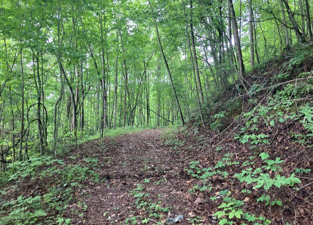 Property at 695 Everet Jenkins Rd Stecoah Rd, Stecoah, NC 28771