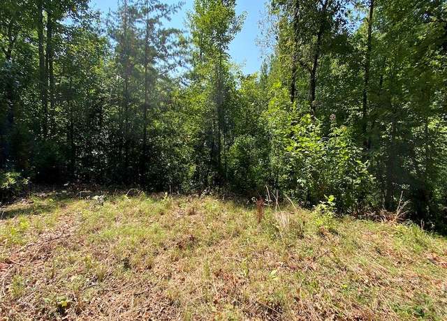 Property at Lot 3 Red Dog Ln, Whittier, NC 28719