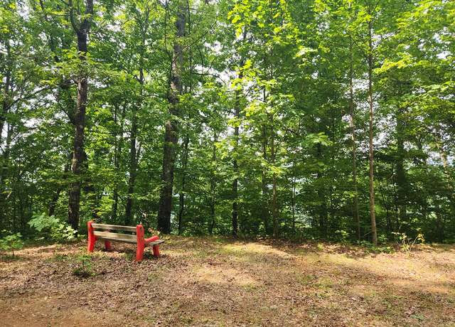Property at Lot 13 Little Fawn, Franklin, NC 28734