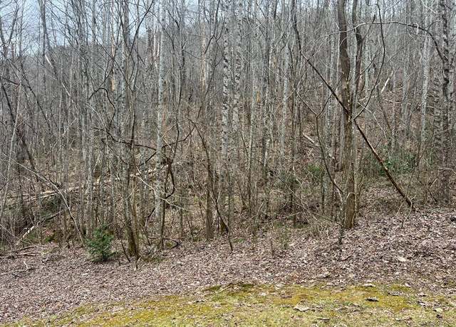 Property at Lot 8 English Setter Trl, Whittier, NC 28789