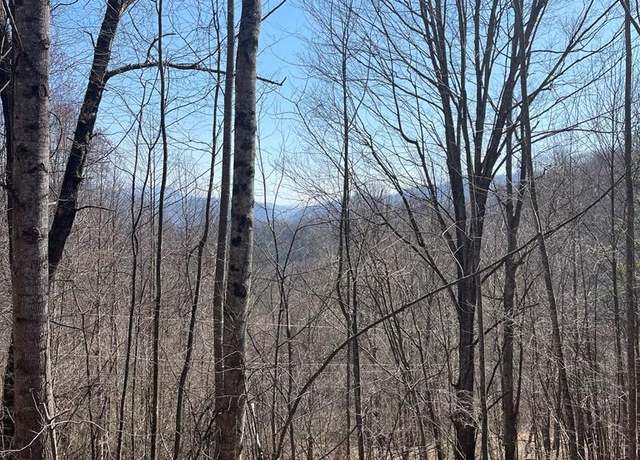 Property at 000 Trotters Trl, Waynesville, NC 28785
