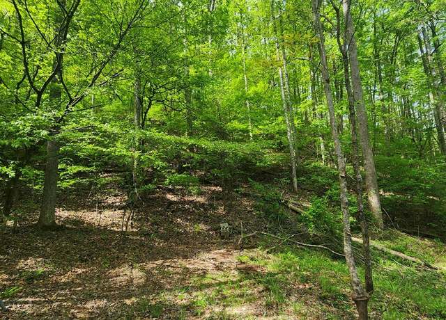 Property at 165 Holly Ln, Franklin, NC 28734