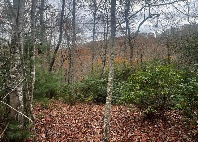 Property at Lot 19 Deerwood Dr, Franklin, NC 28734