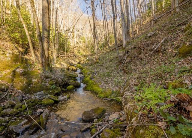 Property at 00 Buff Creek Rd, Sylva, NC 28779