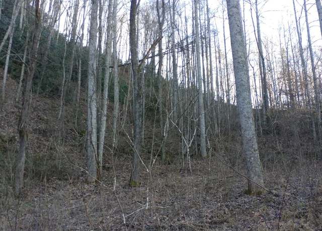 Property at Lot 16 Red Hawk Blf, Dillsboro, NC 28725
