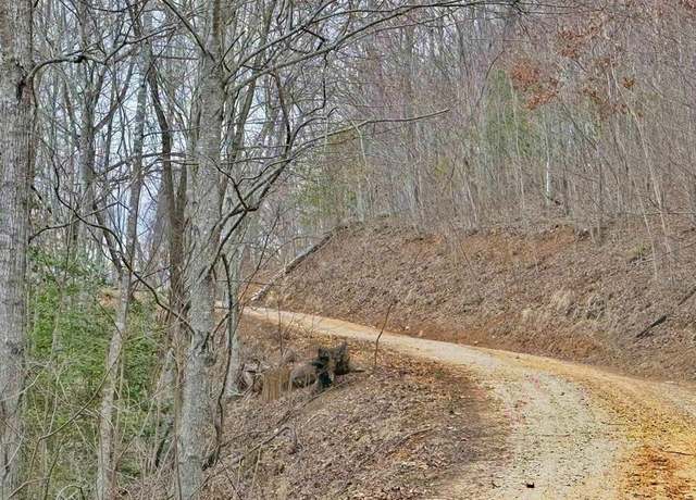 Property at 0 Calebs Way, Franklin, NC 28734