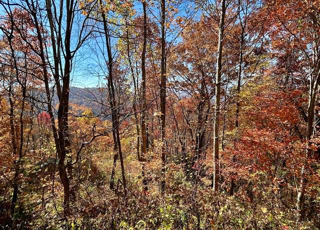 Property at Lot 57 Grizzly Rdg, Bryson City, NC 28713