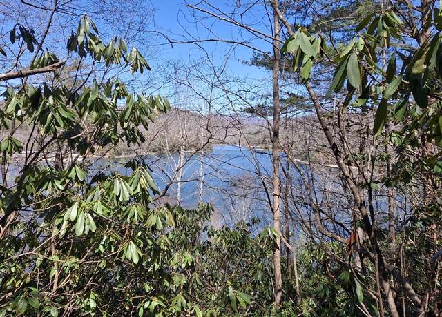 Property at 0 Vess Owen Rd, Tuckasegee, NC 28783