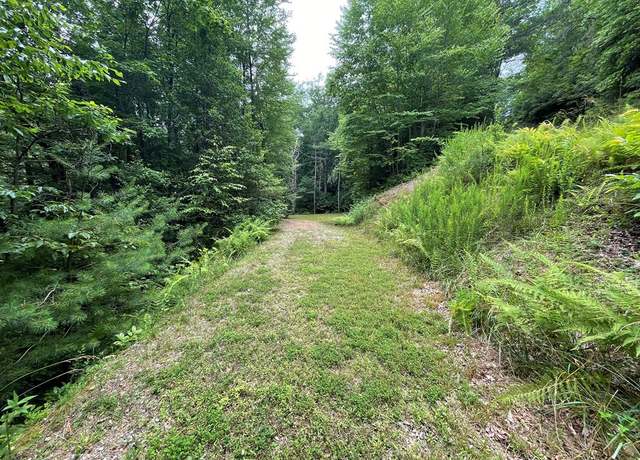 Property at Lot 35 Mystic Forest Way, Topton, NC 28713