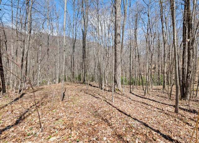 Property at #24 Soco Fls, Maggie Valley, NC 28751