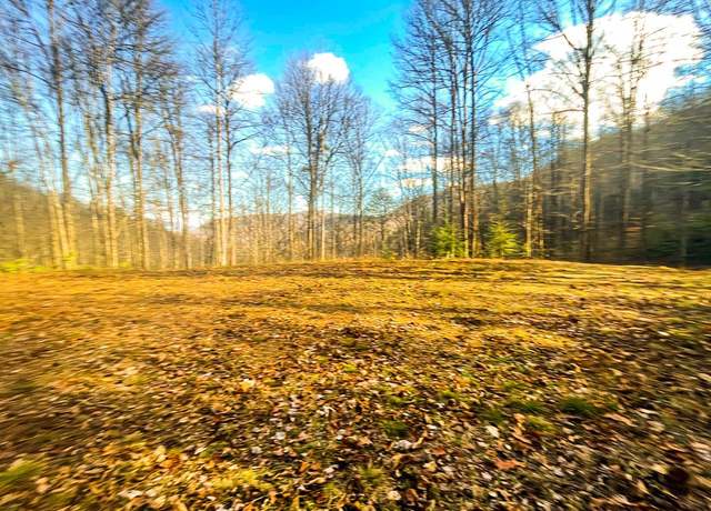 Property at 0 Wild Turkey Dr, Sylva, NC 28779