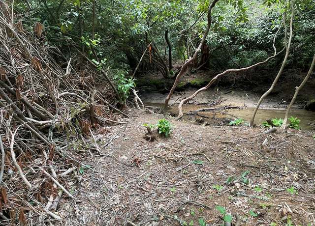 Property at TBD Yellow Mountain Rd, Cullowhee, NC 28723