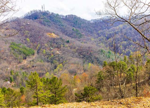 Property at Lot 1 Butternut Rdg, Bryson City, NC 28713