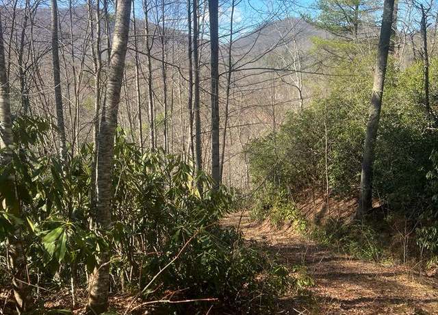 Property at 208 Ivy Ridge Cir, Sylva, NC 28779