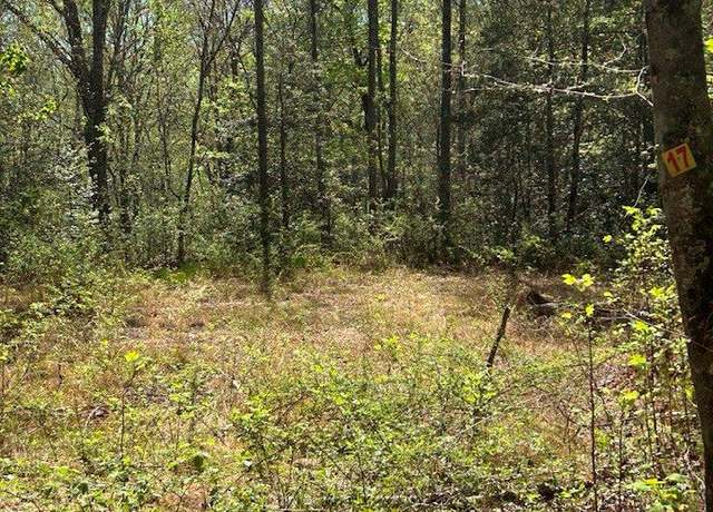 Property at 17 Oak View Rd, Whittier, NC 28789