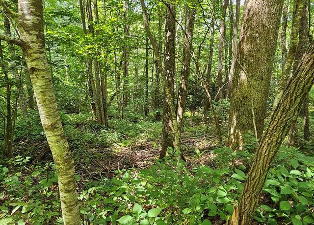 Property at 11 Hound Dog Trl, Bryson City, NC 28713