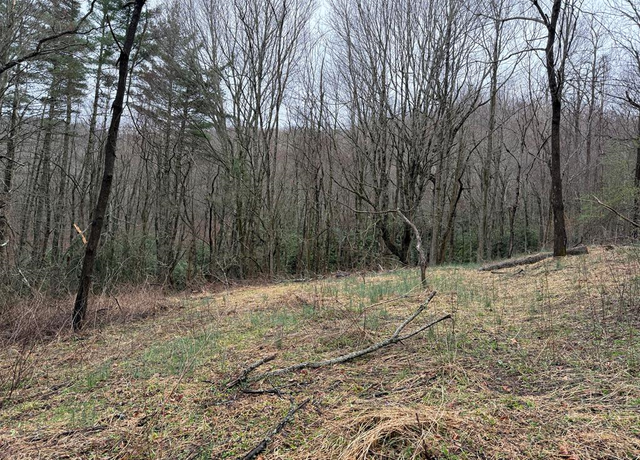 Property at 0 Robinson Creek Rd, Glenville, NC 28736