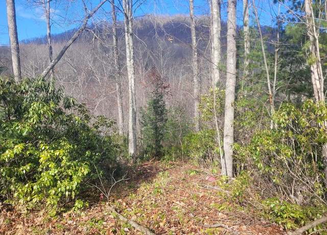 Property at Lot 94 Garnet Rd, Sylva, NC 28779
