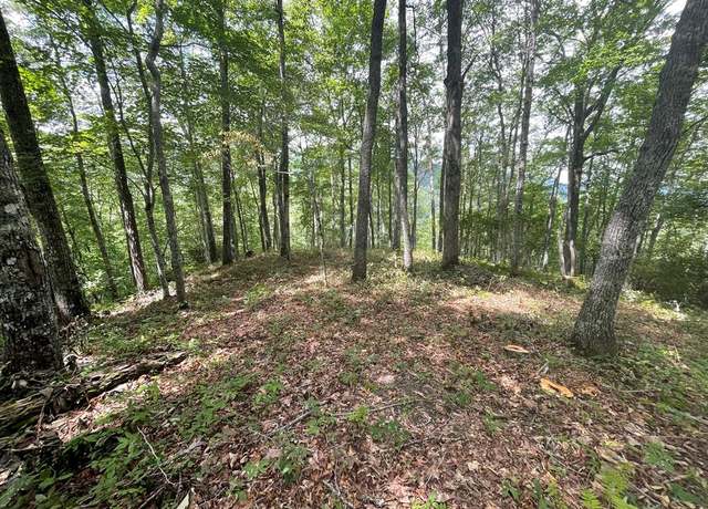 Property at 00 Crossvine Dr, Tuckasegee, NC 28783