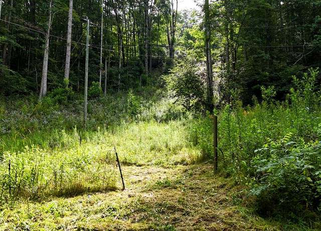 Property at 00 Hog Cove Rd, Sylva, NC 28779
