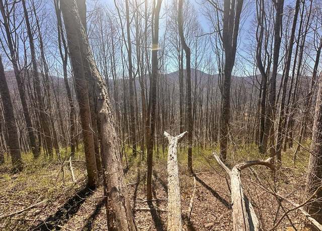 Property at 00 Blue Moss Dr, Sylva, NC 28779
