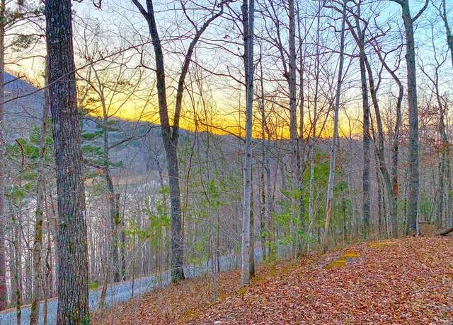 Property at Lot 60-3 Lakeview Trl, Bryson City, NC 28713