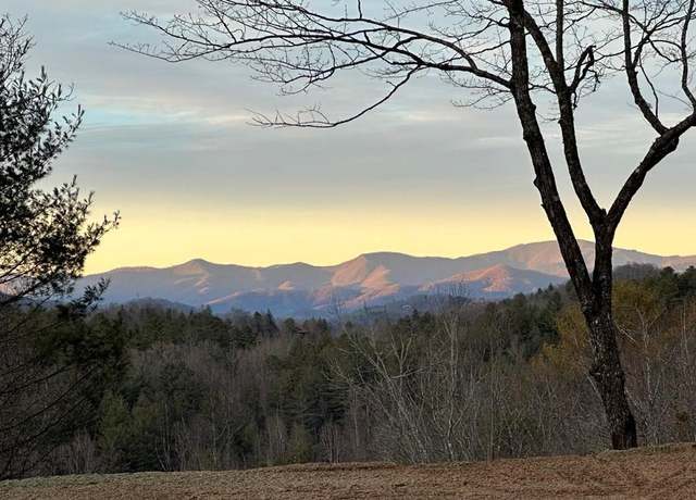 Property at 0 Cricket Holw, Otto, NC 28763