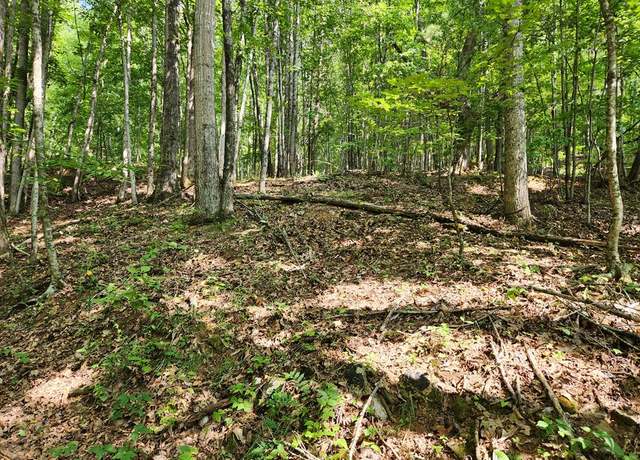 Property at 00 Allison Watts Rd, Franklin, NC 28734