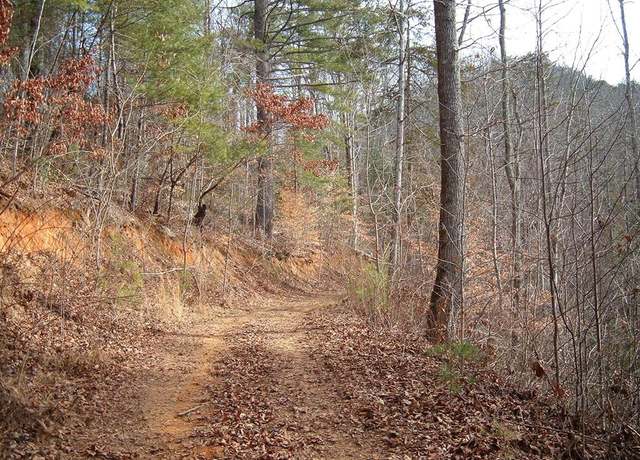 Property at Lot 12 Cedar Cliff/stovall, Tuckasegee, NC 28783