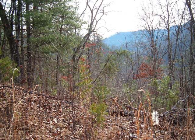 Property at Lot 11 Cedar Cliff/stovall, Tuckasegee, NC 28783