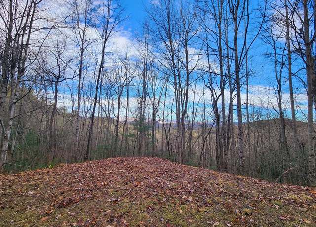 Property at 00 Willis Cove Rd, Franklin, NC 28734