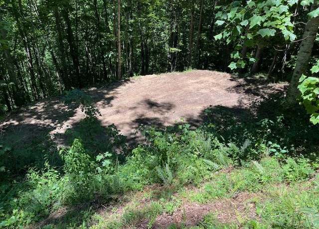 Property at 0 33b Owl View Rd, Bryson City, NC 28713