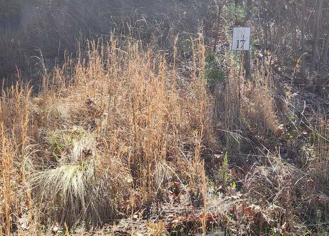 Property at Lot 17 Lost Indian Trl, Whittier, NC 28789