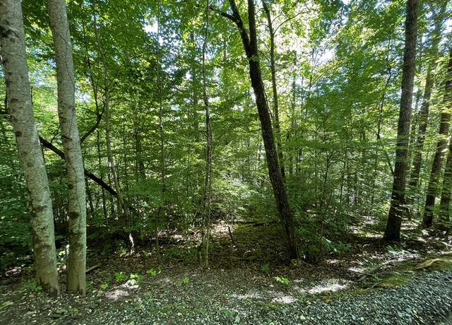 Property at Lot 14 Shady Vale, Bryson City, NC 28713