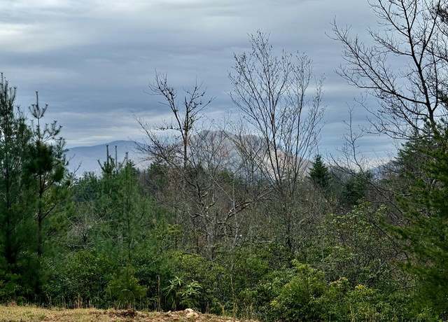 Property at 25 Mystic Ridge Way E, Topton, NC 28781