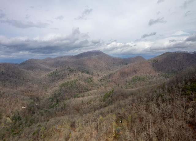 Property at Lot 11 Stone Pillow Rd, Tuckasegee, NC 28783